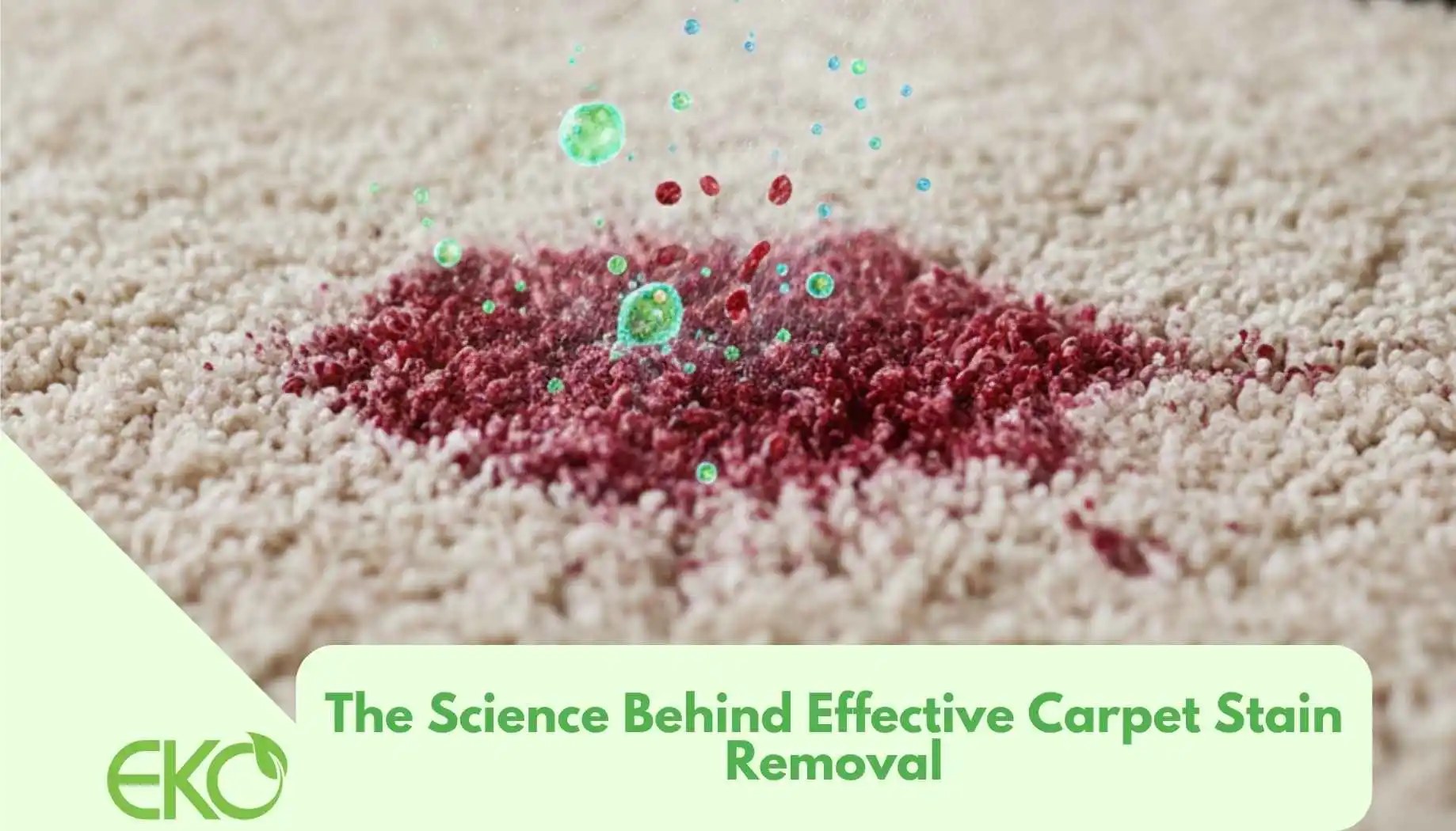 The Science of Carpet Stain Removal on the SF Peninsula