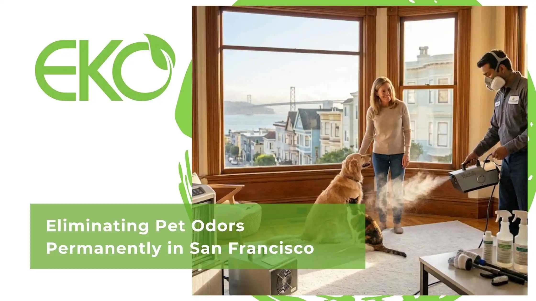 Eliminating Pet Odors Permanently in San Francisco