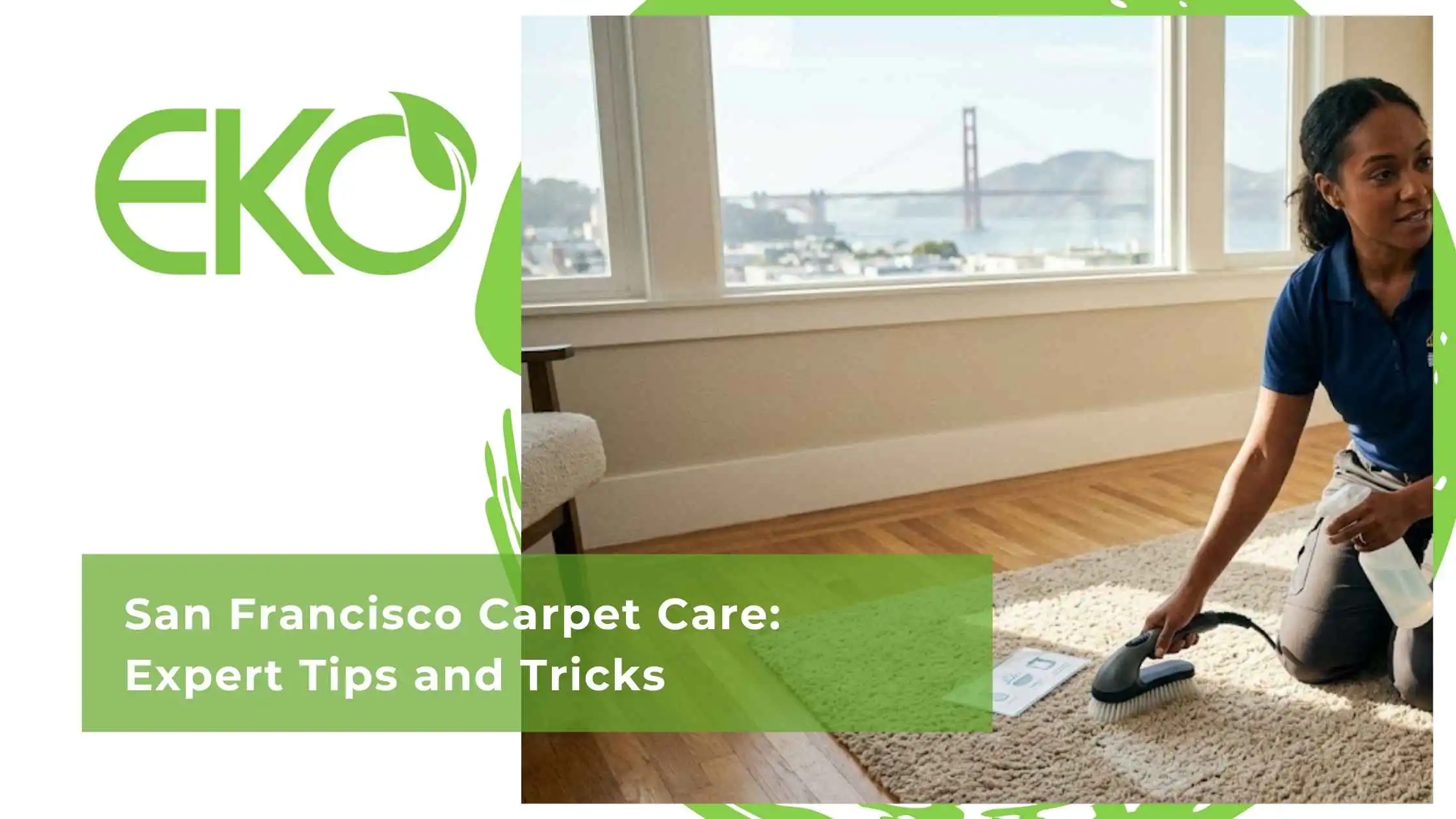 San Francisco Carpet Care Expert Tips and Tricks