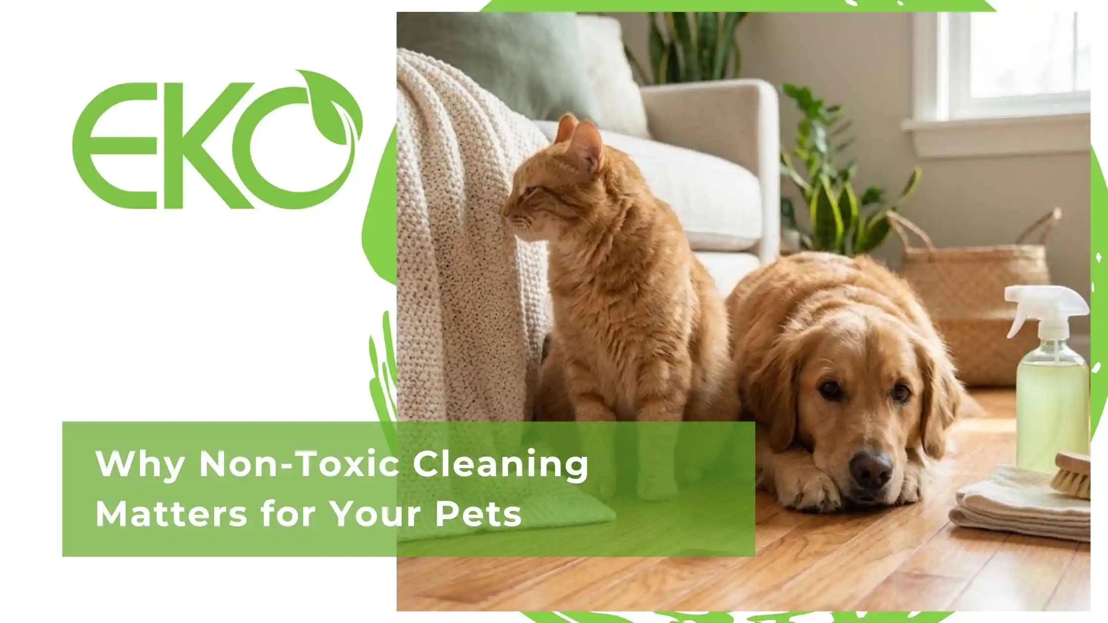 Why Non-Toxic Cleaning Matters for Your Pets